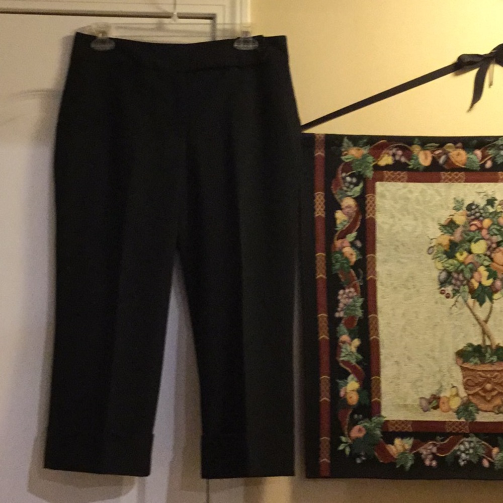 Ann Taylor Curvy culottes. Size 6. New with tags.